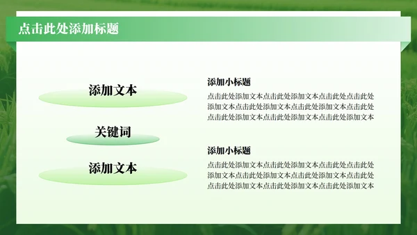 绿色渐变简约风三下乡社会实践纪实PPT模板