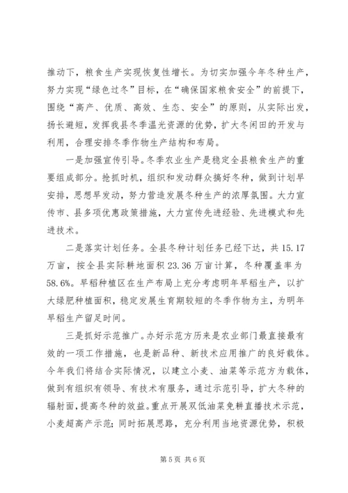 县冬种生产典型发言材料 (2).docx