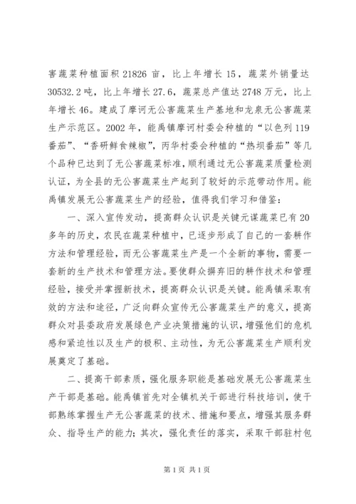 X镇无公害蔬菜生产情况调研 (4).docx