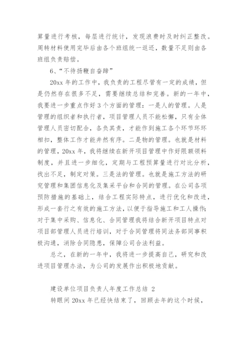 建设单位项目负责人年度工作总结.docx