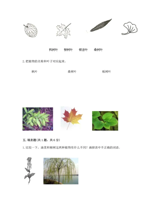 教科版科学一年级上册第一单元《植物》测试卷及答案（夺冠）.docx