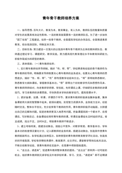 青年骨干教师培养方案.docx