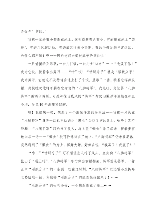 暑假趣事作文五篇