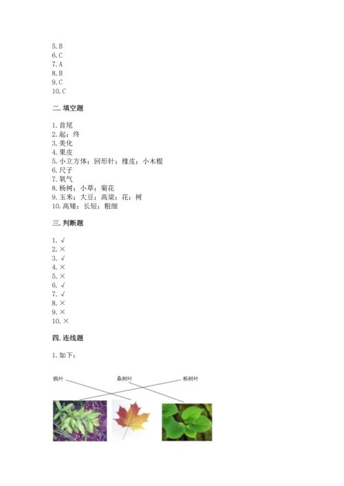 教科版一年级上册科学期末测试卷附完整答案【历年真题】.docx