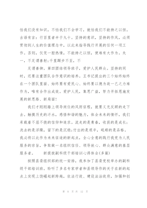 提拔副科级干部培训心得体会(多篇).docx