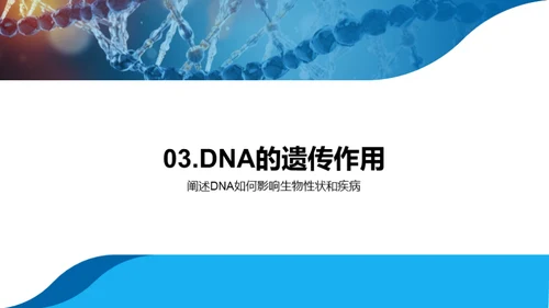 DNA：揭示生命奥秘