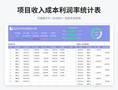 项目收入成本利润率统计表