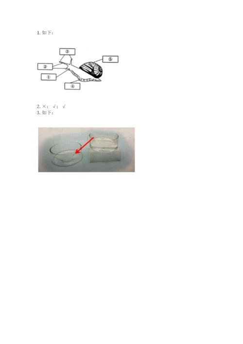 教科版一年级下册科学期末测试卷含答案【夺分金卷】.docx