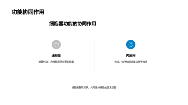 细胞结构功能教学PPT模板