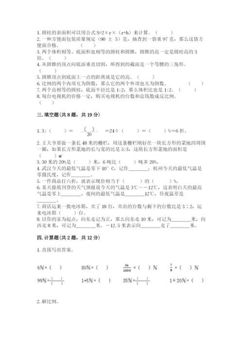 人教版六年级下册数学期末测试卷精品（能力提升）.docx