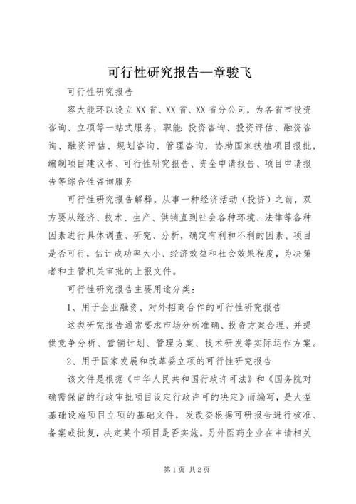 可行性研究报告—章骏飞 (5).docx