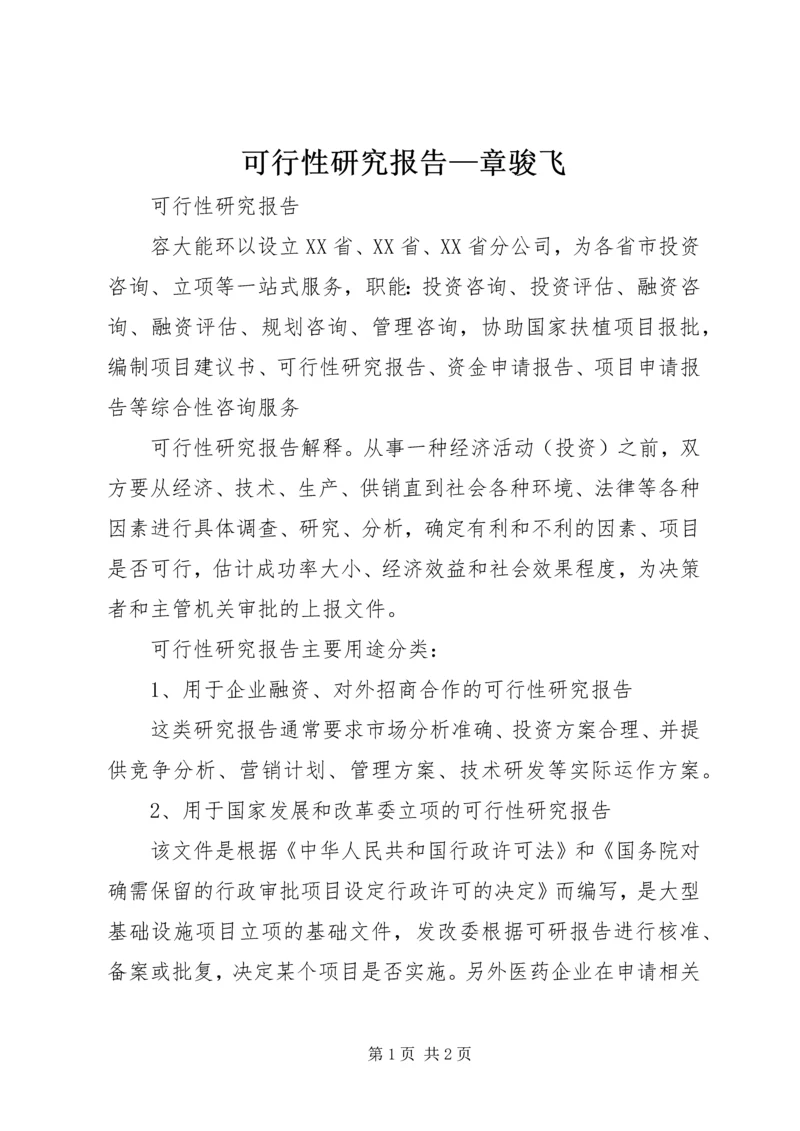 可行性研究报告—章骏飞 (5).docx