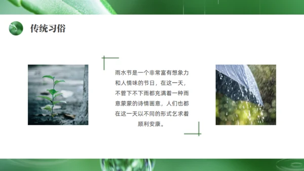 雨水绿色露水背景通用PPT模板