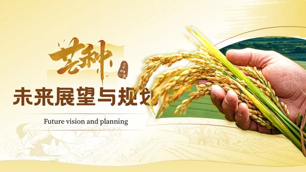 黄色芒种节气高级感PPT模板