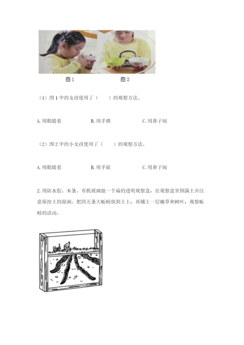 教科版二年级上册科学期末测试卷【轻巧夺冠】.docx