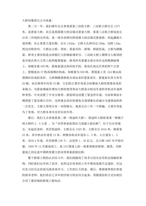 桥的认识实习报告锦集五篇.docx