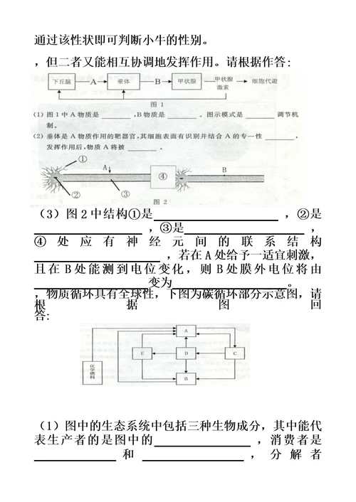 2015年内蒙古普通高中学业水平测试生物考试试卷模板