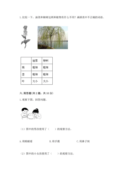 教科版科学一年级上册第一单元《植物》测试卷附答案【a卷】.docx