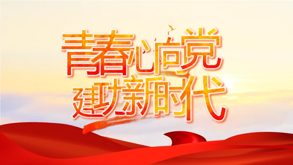 党支部选举换届大会年终工作总结PPT