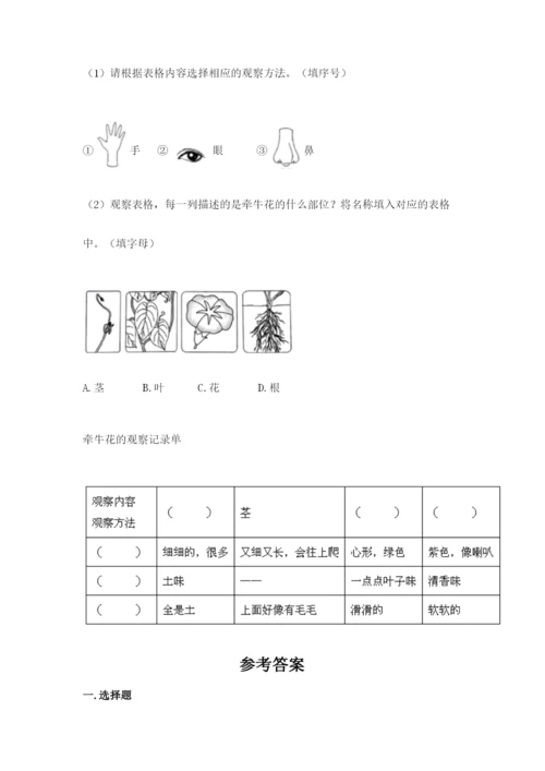 教科版科学一年级上册第一单元《植物》测试卷及答案（考点梳理）.docx