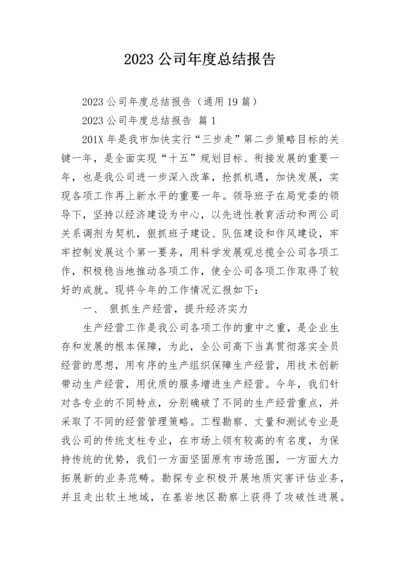 2023公司年度总结报告.docx