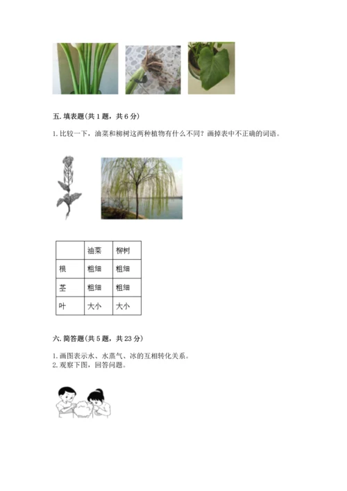 教科版一年级上册科学期末测试卷精品（名师推荐）.docx