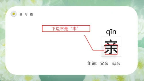 第15课《搭船的鸟》课件