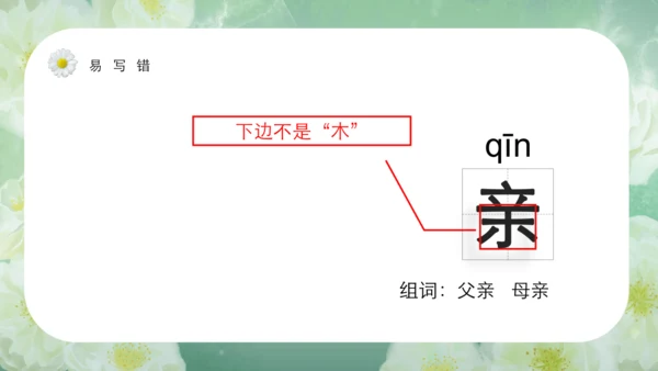 第15课《搭船的鸟》课件