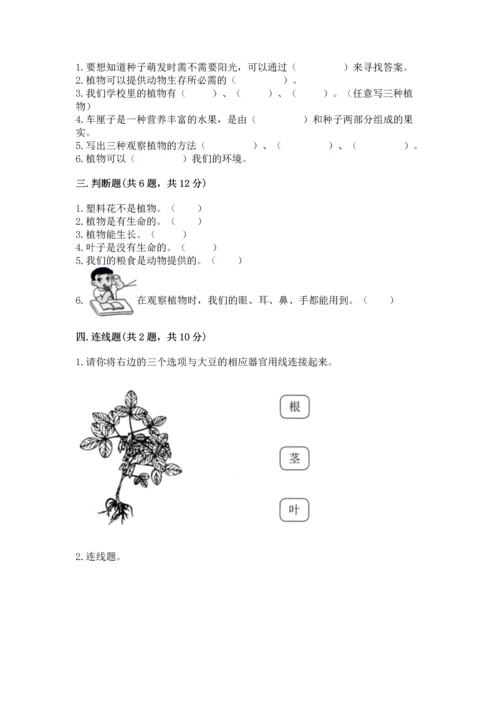 教科版科学一年级上册第一单元《植物》测试卷附答案（b卷）.docx