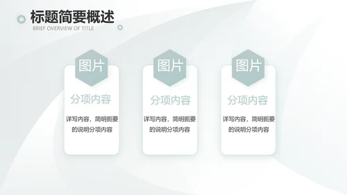 高端品牌介绍策划方案工作总结计划PPT