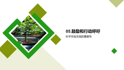 揭秘科学实验之旅