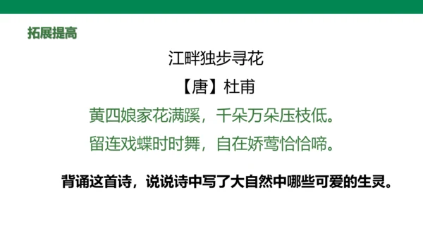 部编版小学语文三年级下册1.《古诗三首》第三课时-三衢道中
