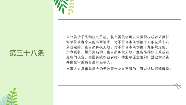 普法全文学习2025年4月新修订《中华人民共和国植物新品种保护条例》PPT课件