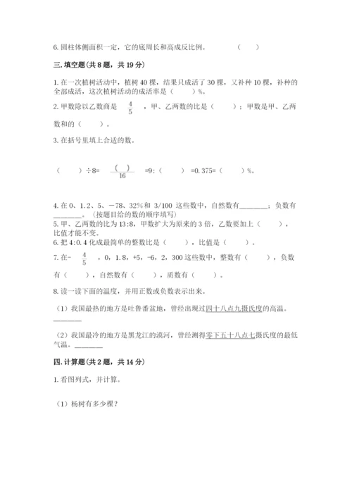 洮南市六年级下册数学期末测试卷（研优卷）.docx