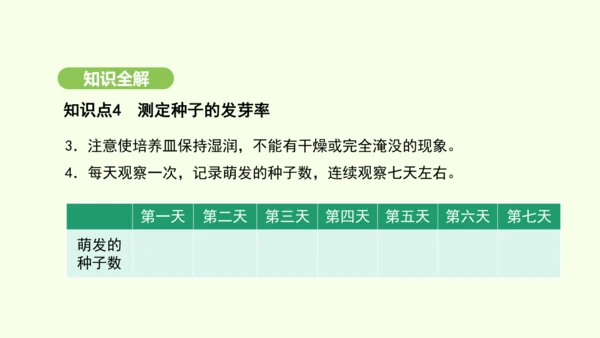 第三单元-第一章-第一节-种子的萌发课件-2024-2025学年七年级生物下学期人教版(2024)(