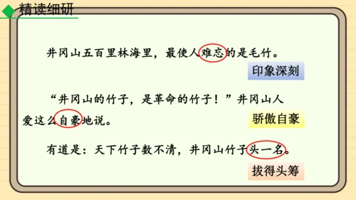20 井冈翠竹 课件