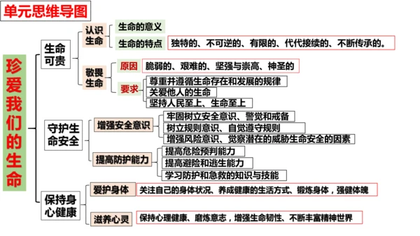 第三单元 珍爱我们的生命【核心考点复习课件】(共24张PPT)