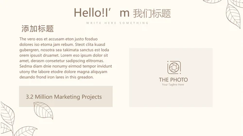 淡雅小清新终工作总结通用PPT动态模板