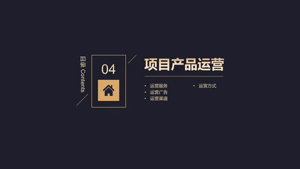 高端黑金商业计划书通用PPT模板