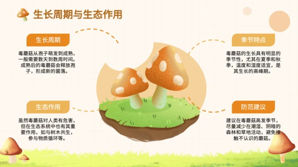 橙色卡通风毒蘑菇识别与误食应急处理PPT
