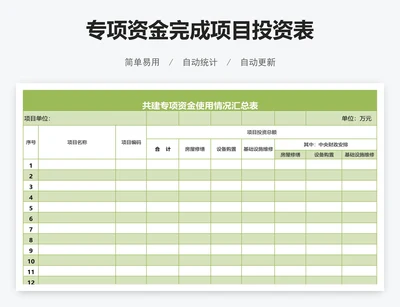 专项资金完成项目投资表