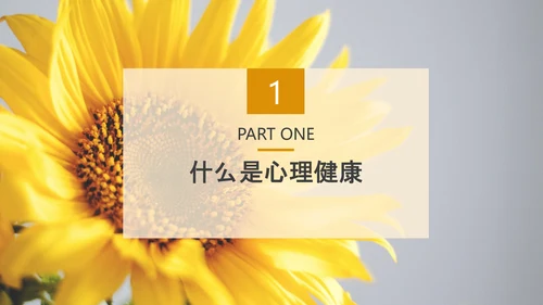 中小学生心理健康应知应会PPT模板