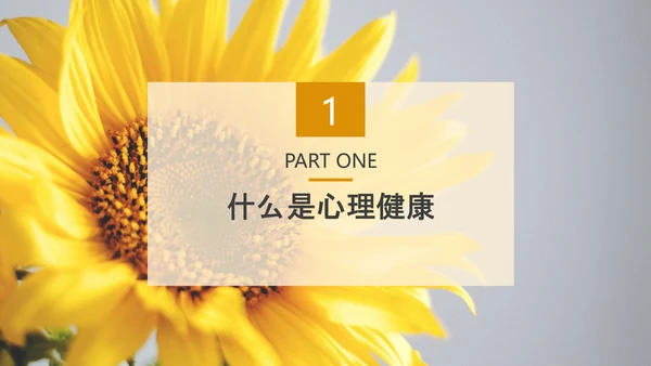 中小学生心理健康应知应会PPT模板