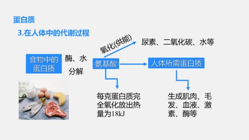 2025年春新人教九年级化学下册 11.1 化学与人体健康 课件(共42张PPT)