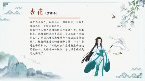 红楼多解读红学通用PPT模板