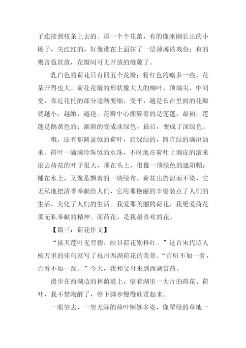 写荷花的作文600字.docx