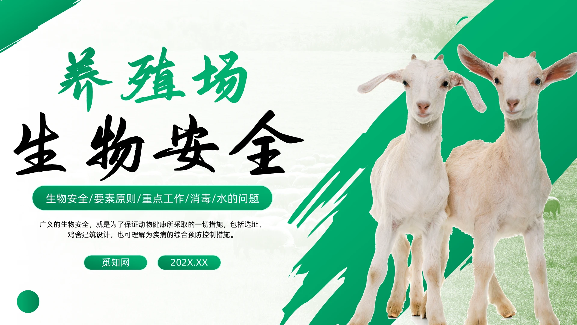 绿色简约养殖场生物安全培训PPT