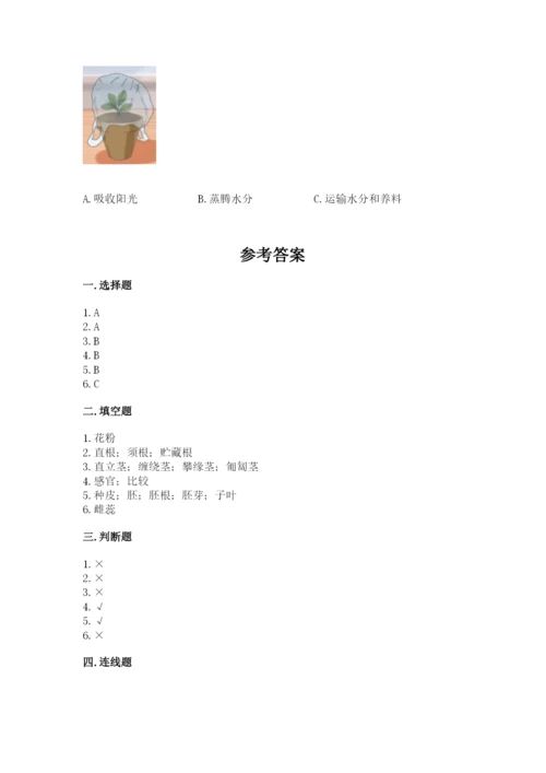 科学四年级下册第一单元植物的生长变化测试卷精品（夺冠）.docx