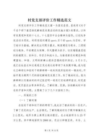 村党支部评价工作精选范文.docx