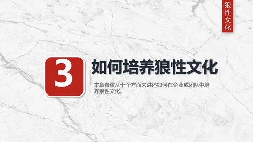团队企业文化狼性文化员工培训PPT